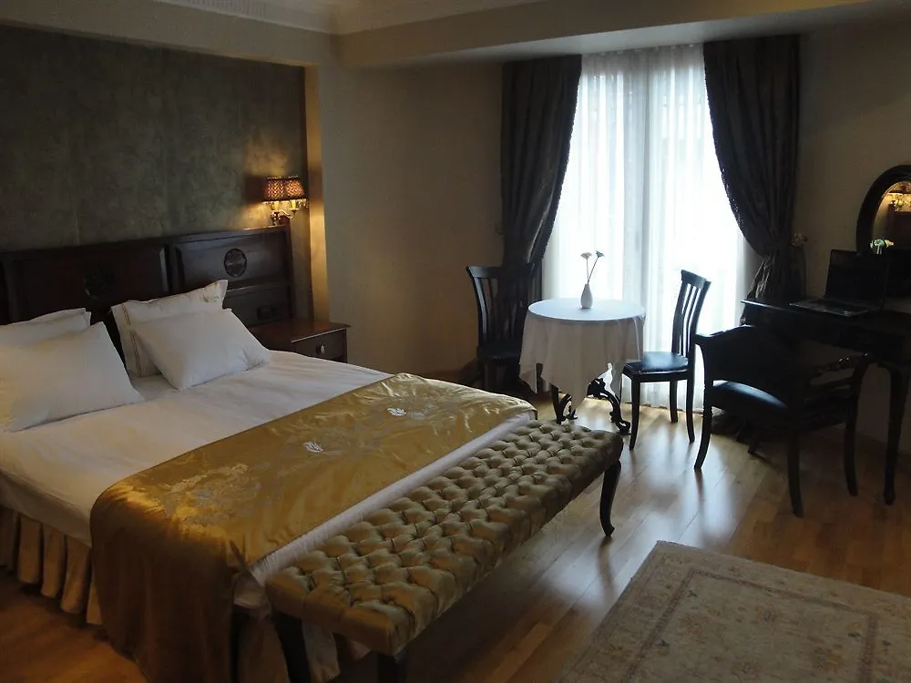 Valdivia Hotel Sultanahmet Provincia di Provincia di Istanbul Turchia
